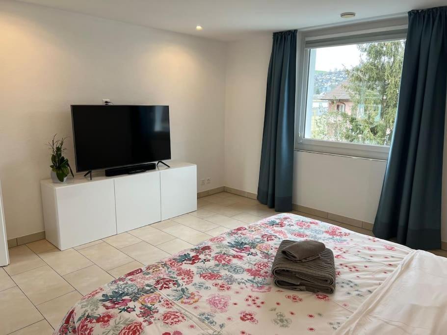 Appartamento Atikka, Atico, Penthouse Lucerna Esterno foto